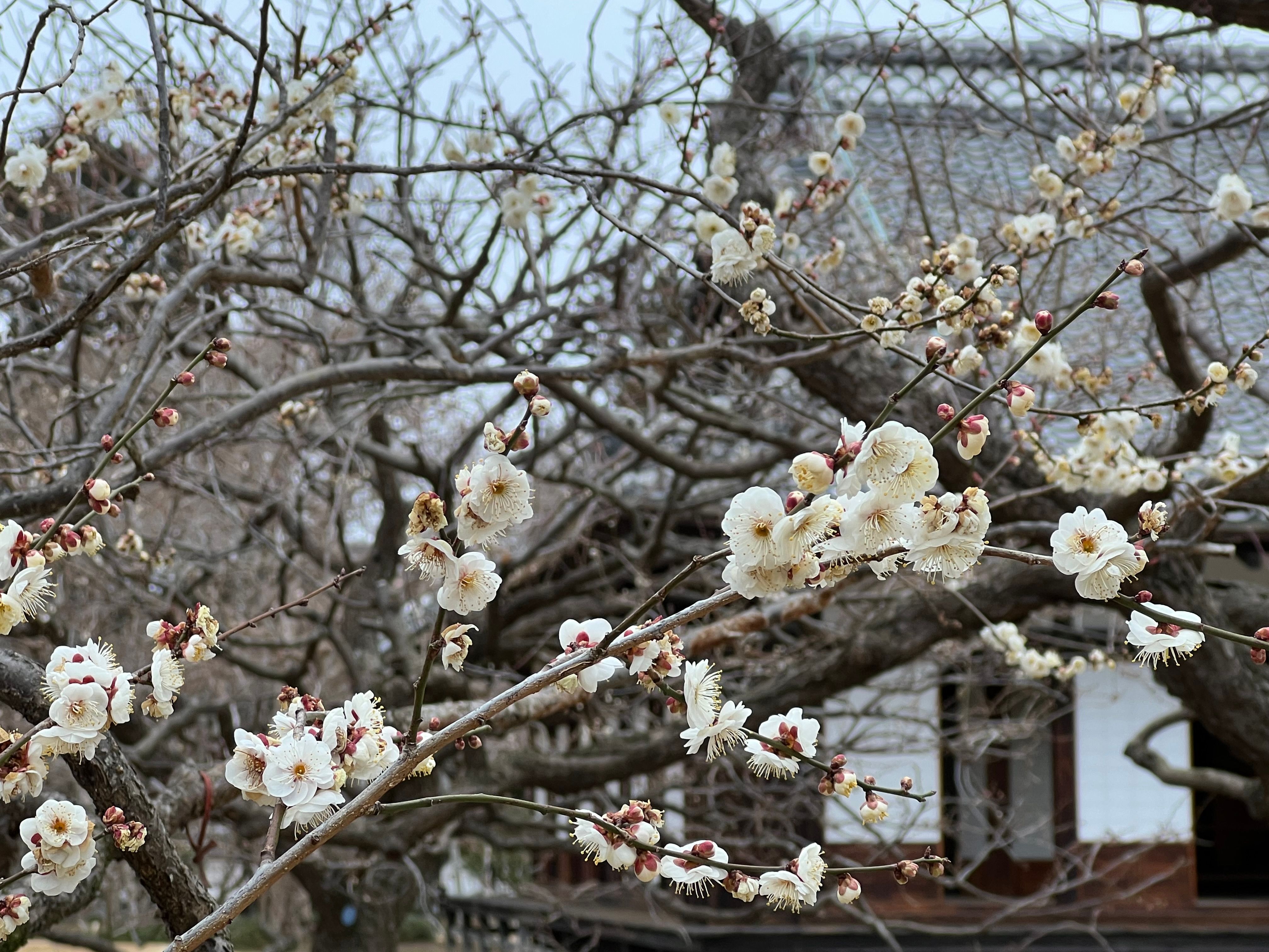 Featured image of the post