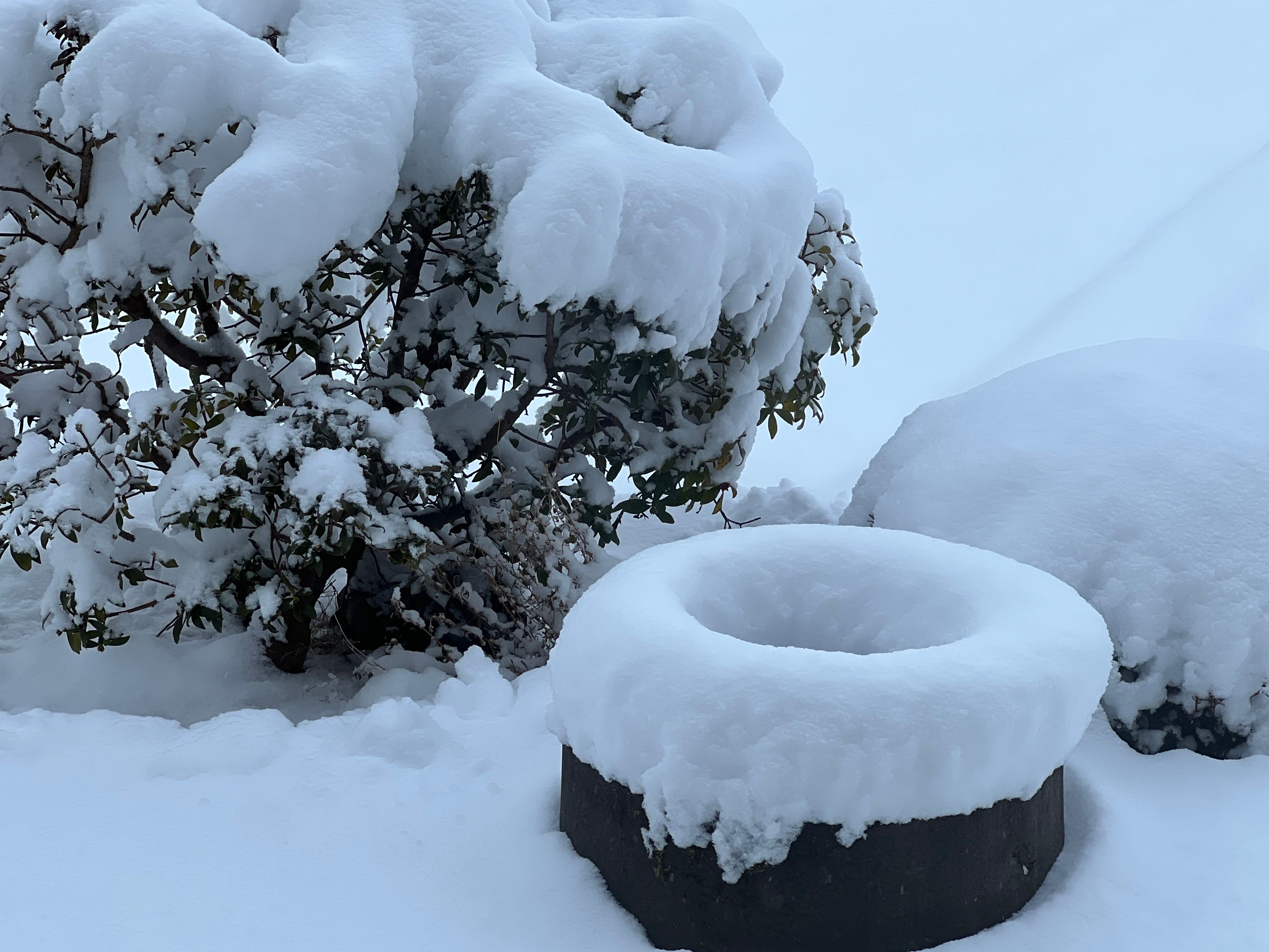 Image in a image block