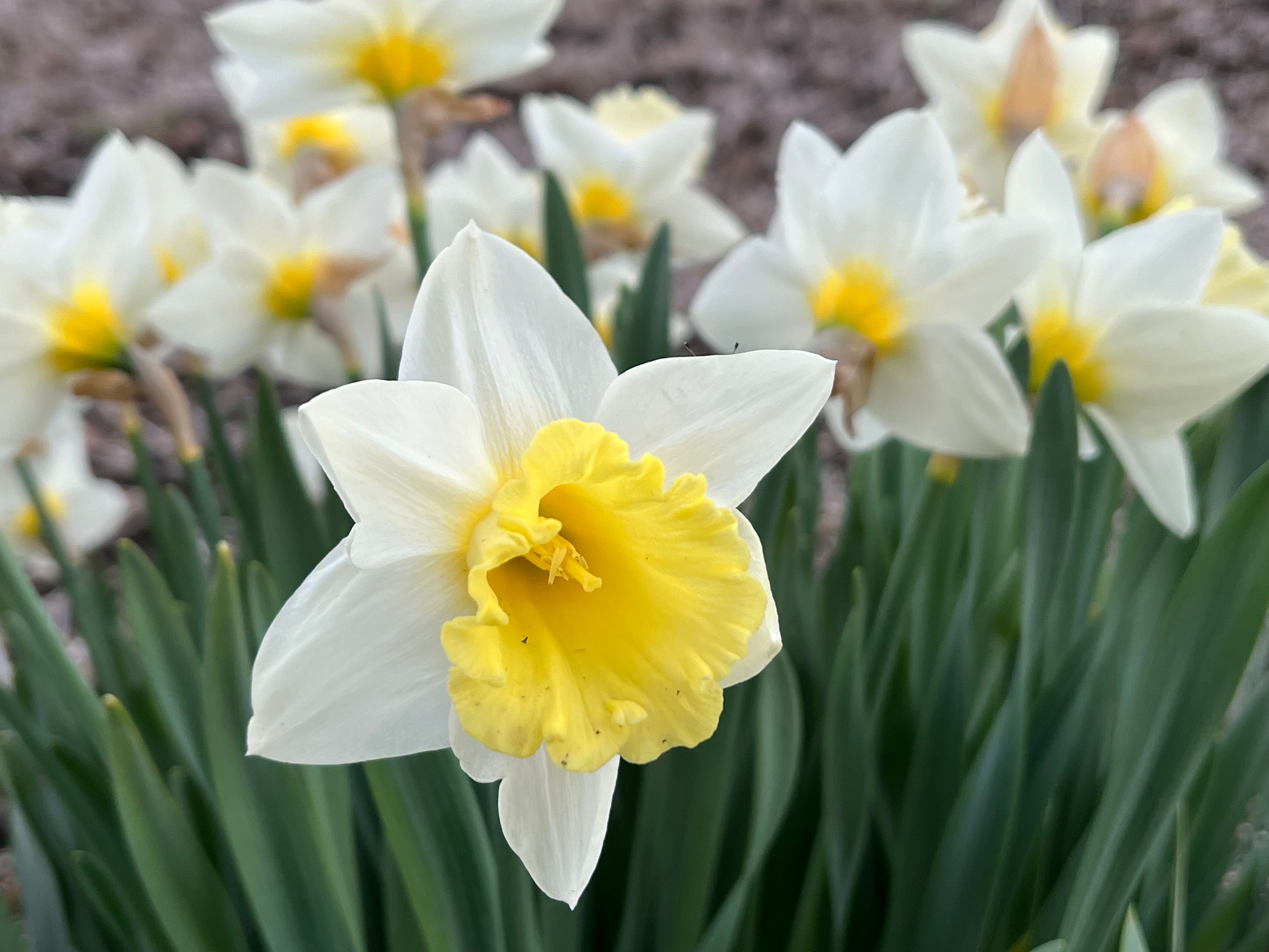 Featured image of the post