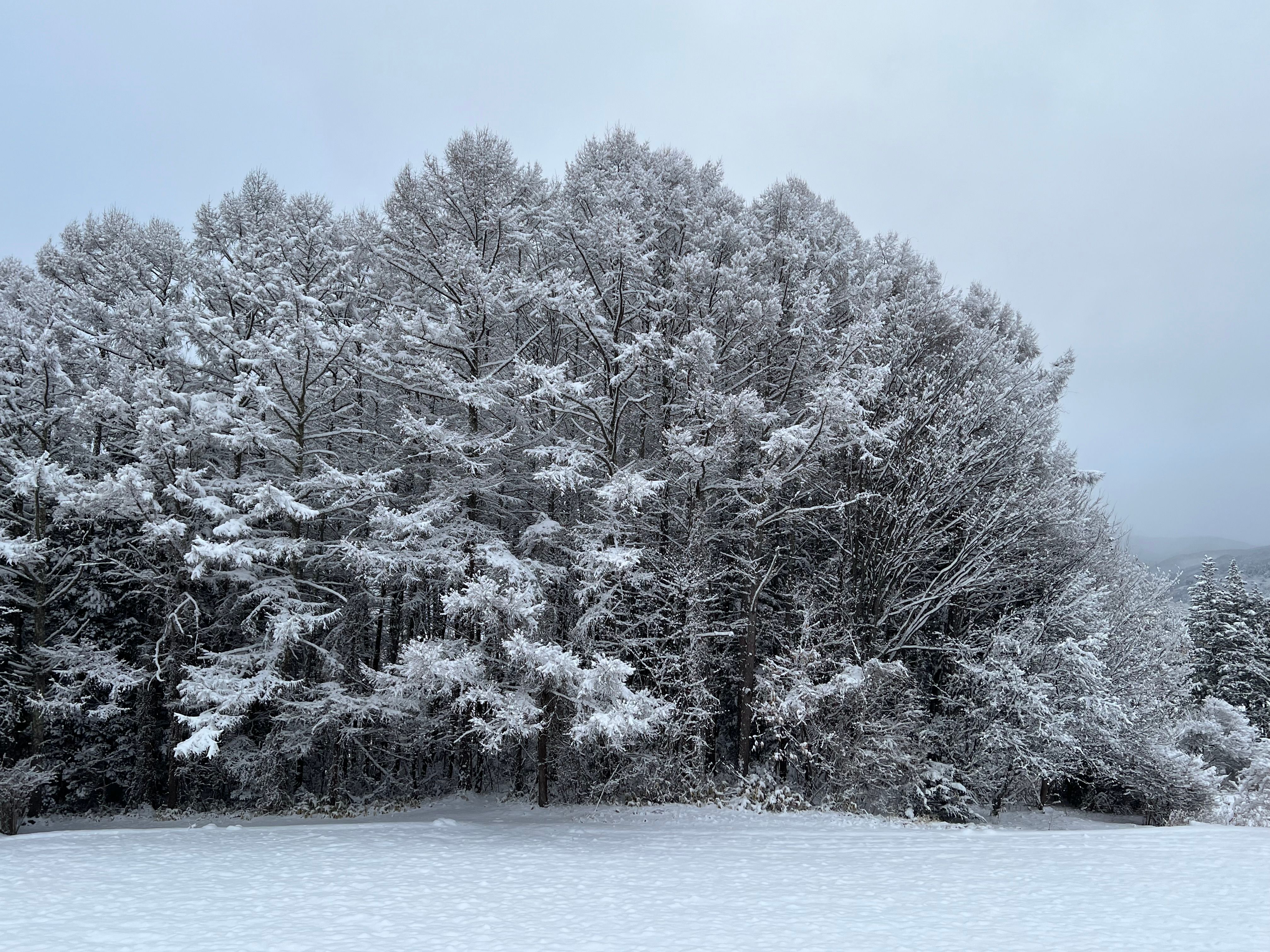 Image in a image block